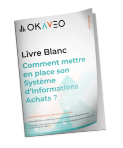 Livre blanc SIA - Comment mettre en place un système d'informations achats