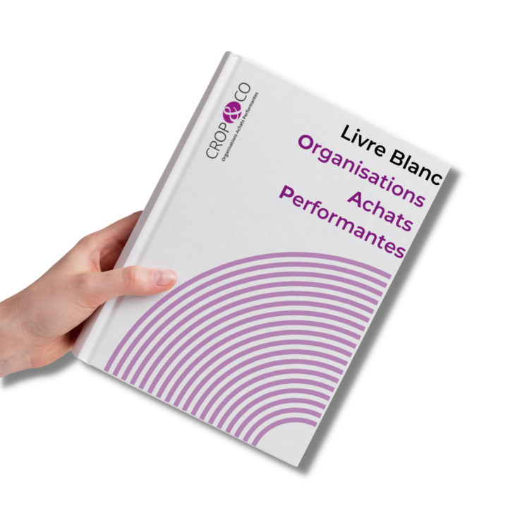 Mockup livre blanc OAP