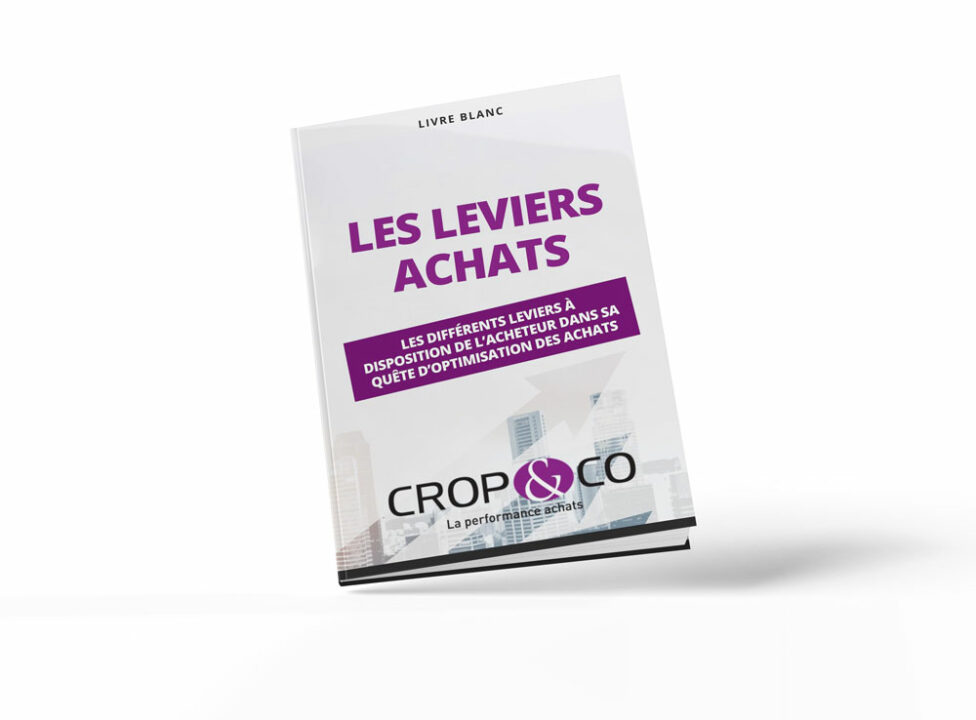 Mockup livre blanc les leviers achats